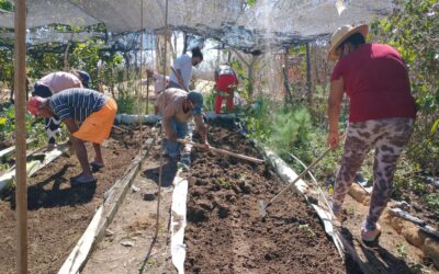 VIABAHIA desenvolve hortas comunitárias e promove oficinas de compostagem