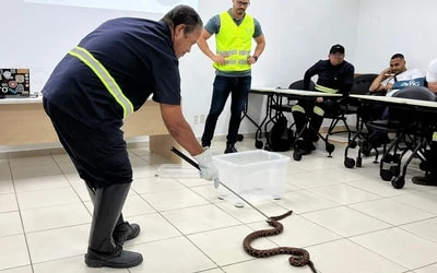 Treinamento orienta Inspetores de Tráfego sobre manejo de animais peçonhentos