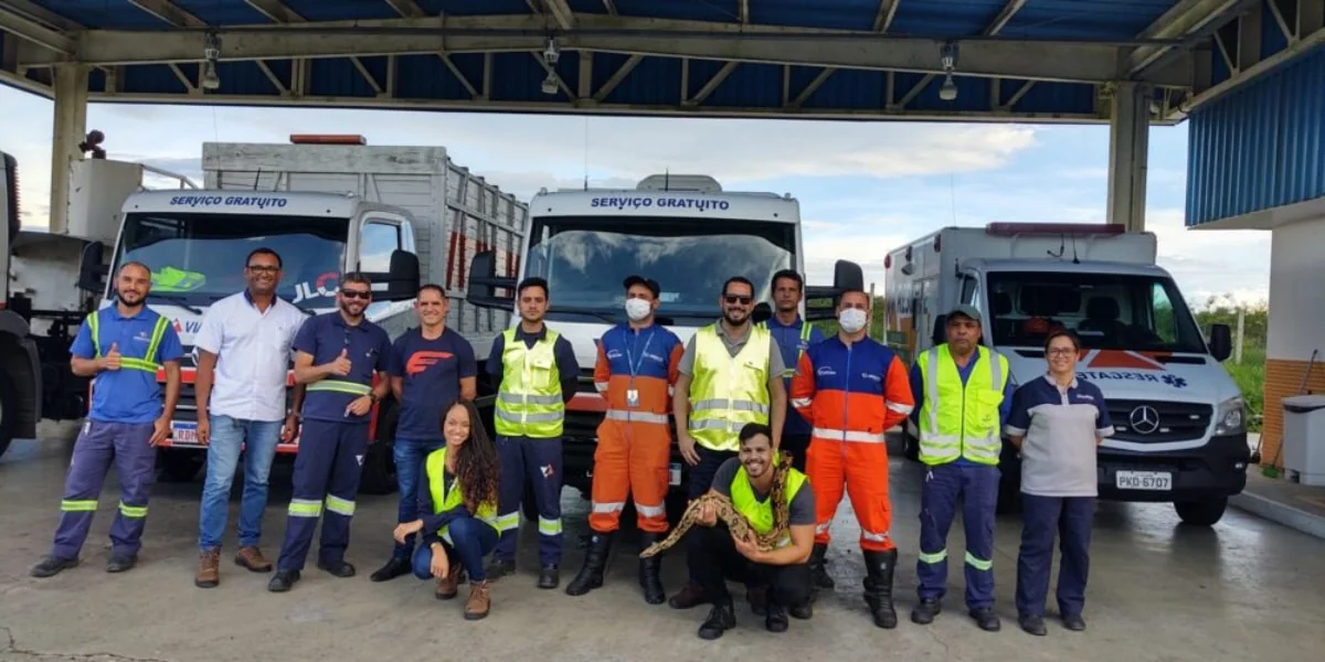 Teoria e prática: equipe ambiental da VIABAHIA realiza treinamento sobre manejo de animais peçonhentos